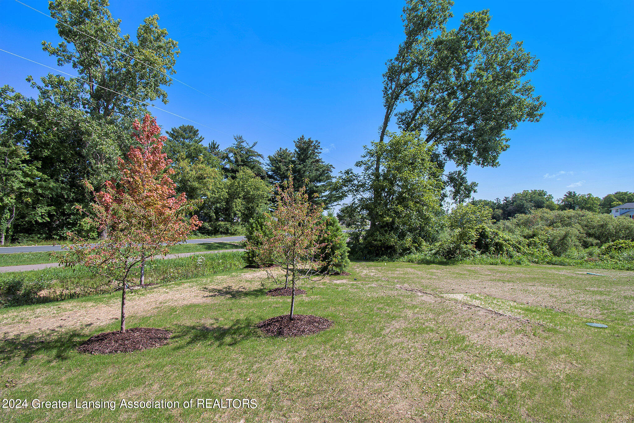 14035 Pristine Court, DeWitt