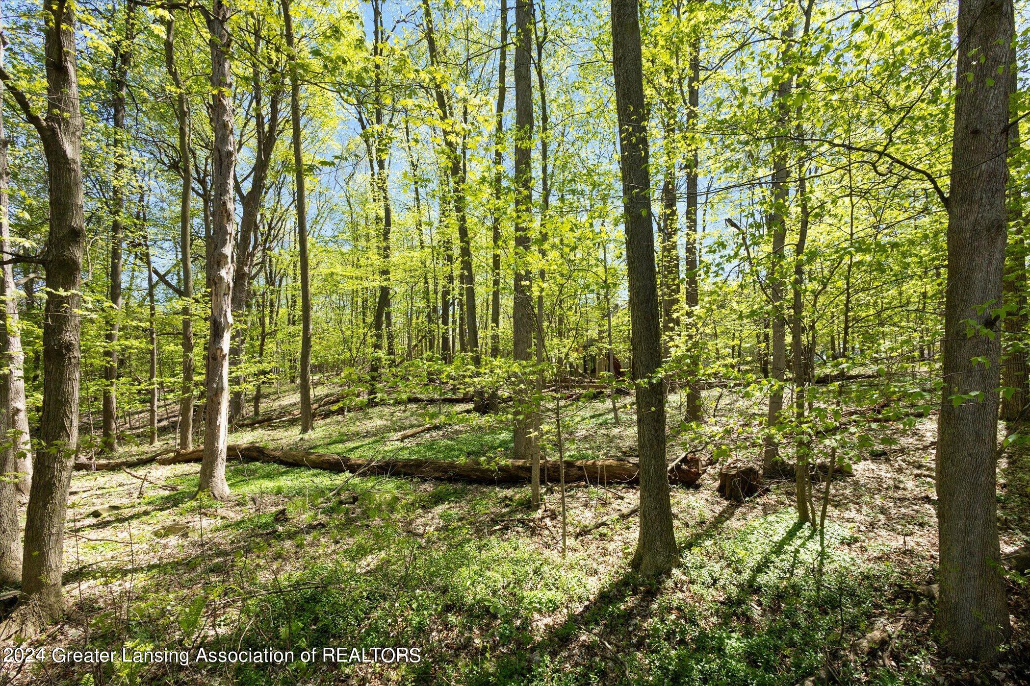 2067 Fox Hollow Drive