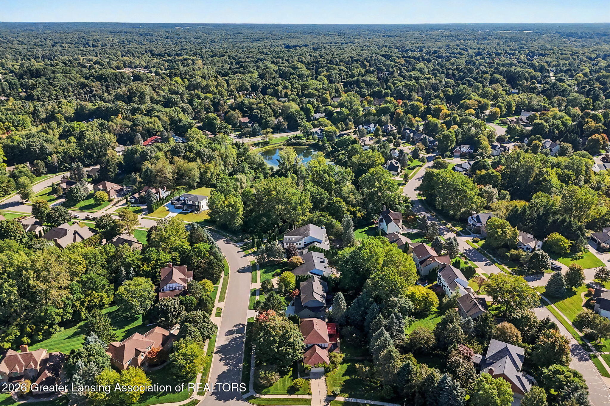 3601 Beech Tree Lane