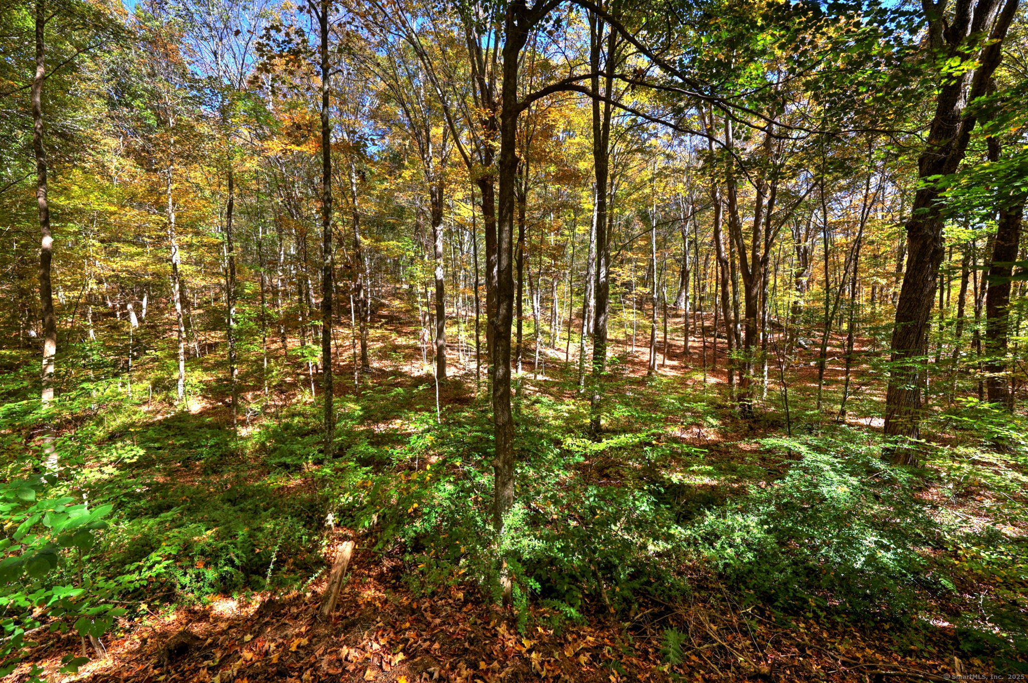 174 Weekeepeemee Road