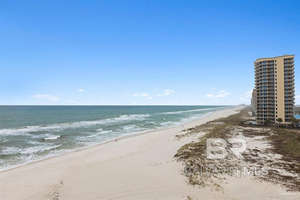 13817 Perdido Key Drive 501E