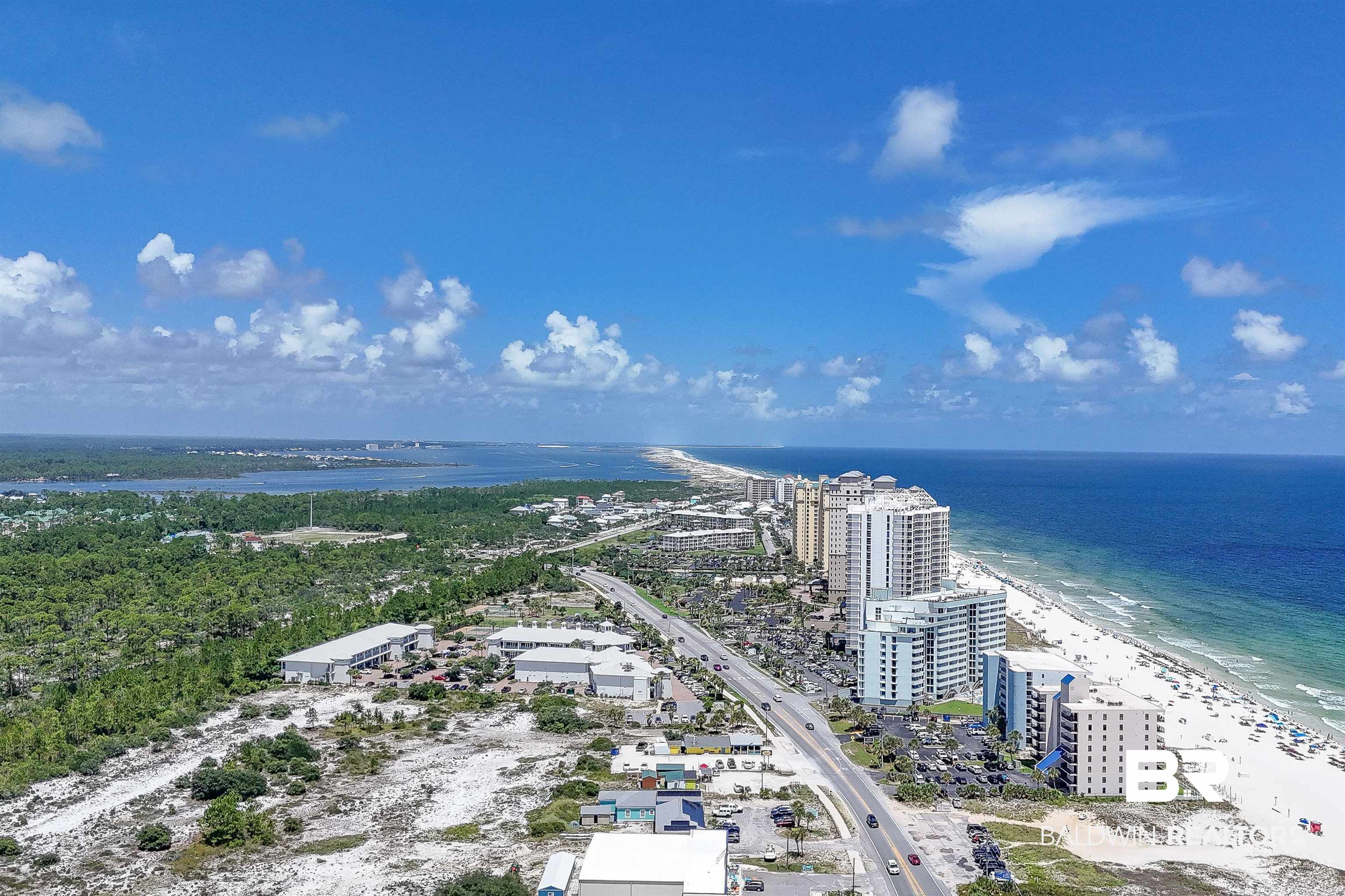 13817 Perdido Key Drive 501