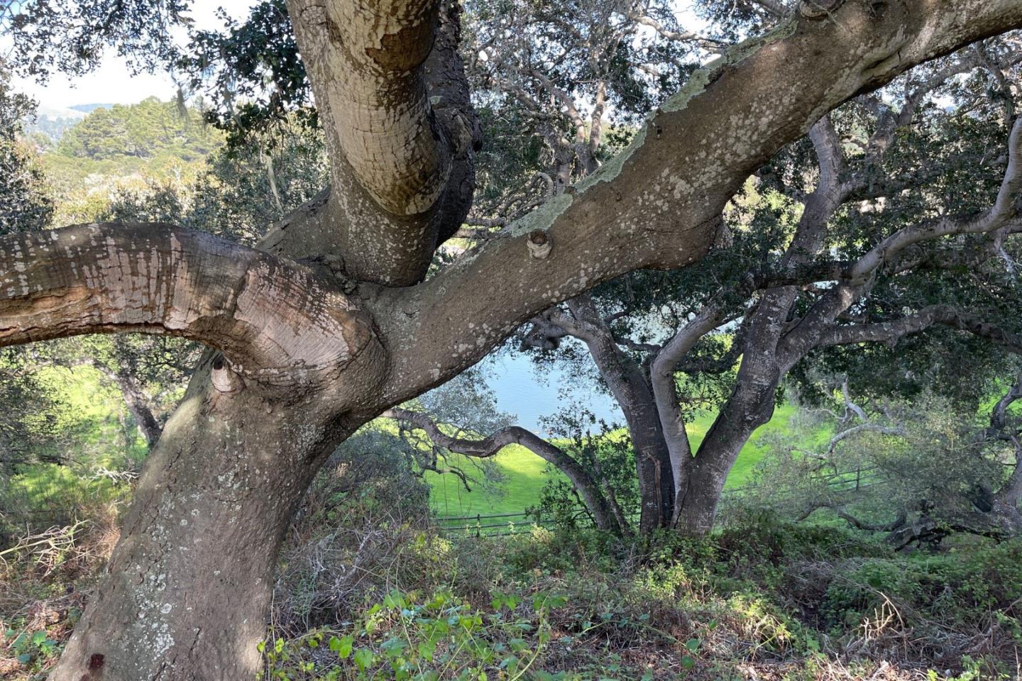 5496 Quail Meadows DR