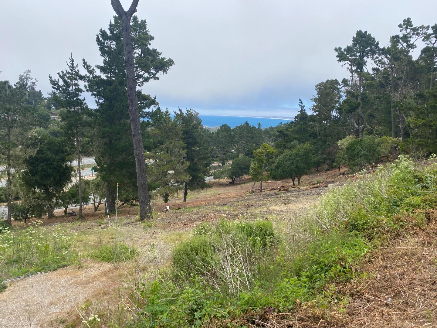 711 Viejo Road