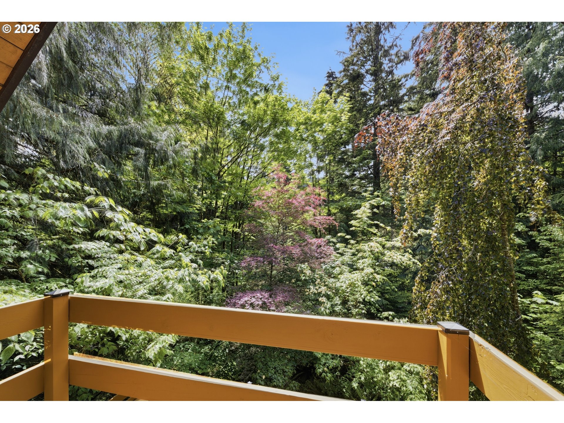 28061 E MOUNTAIN VIEW DR