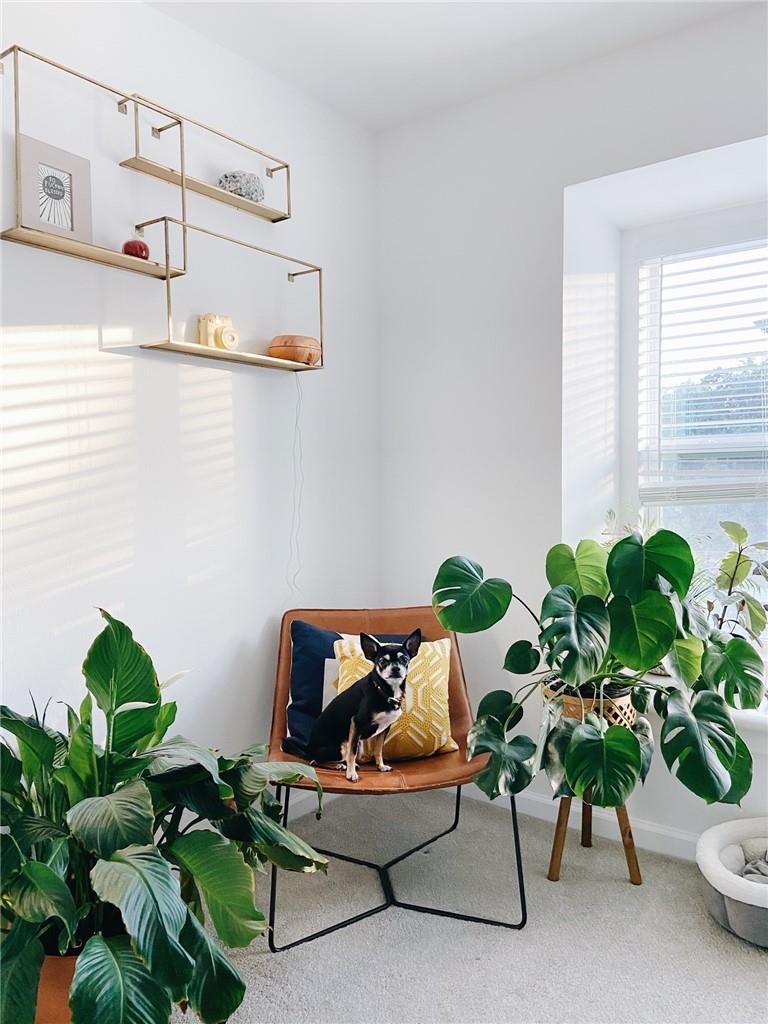 3604 Clawson RD # 203