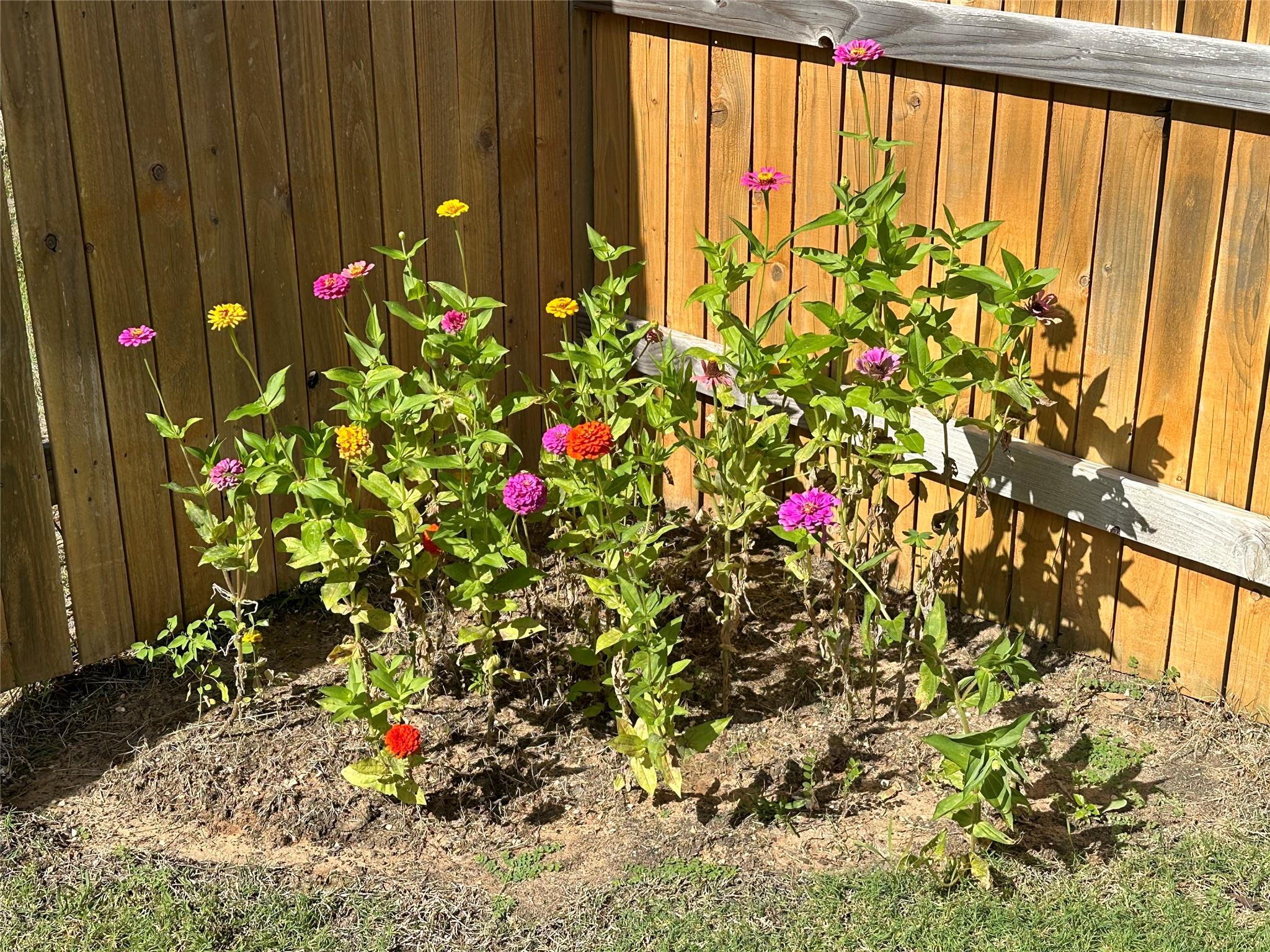 202 Big Sandy Creek DR