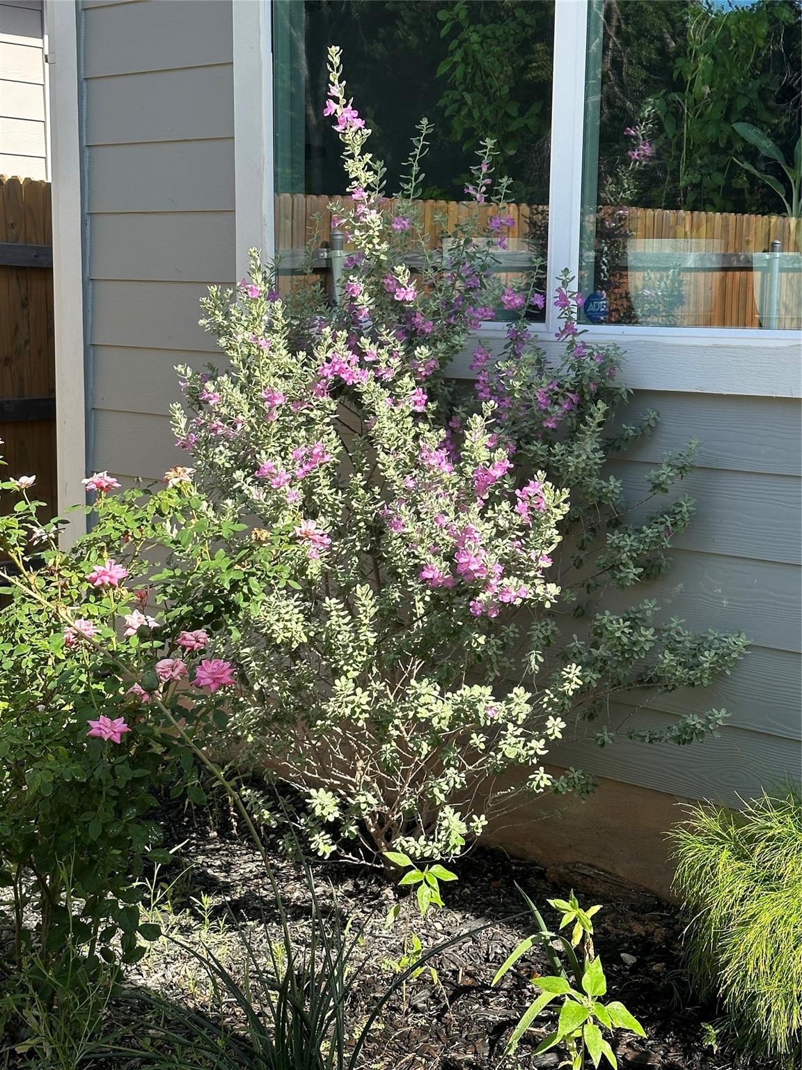 202 Big Sandy Creek DR