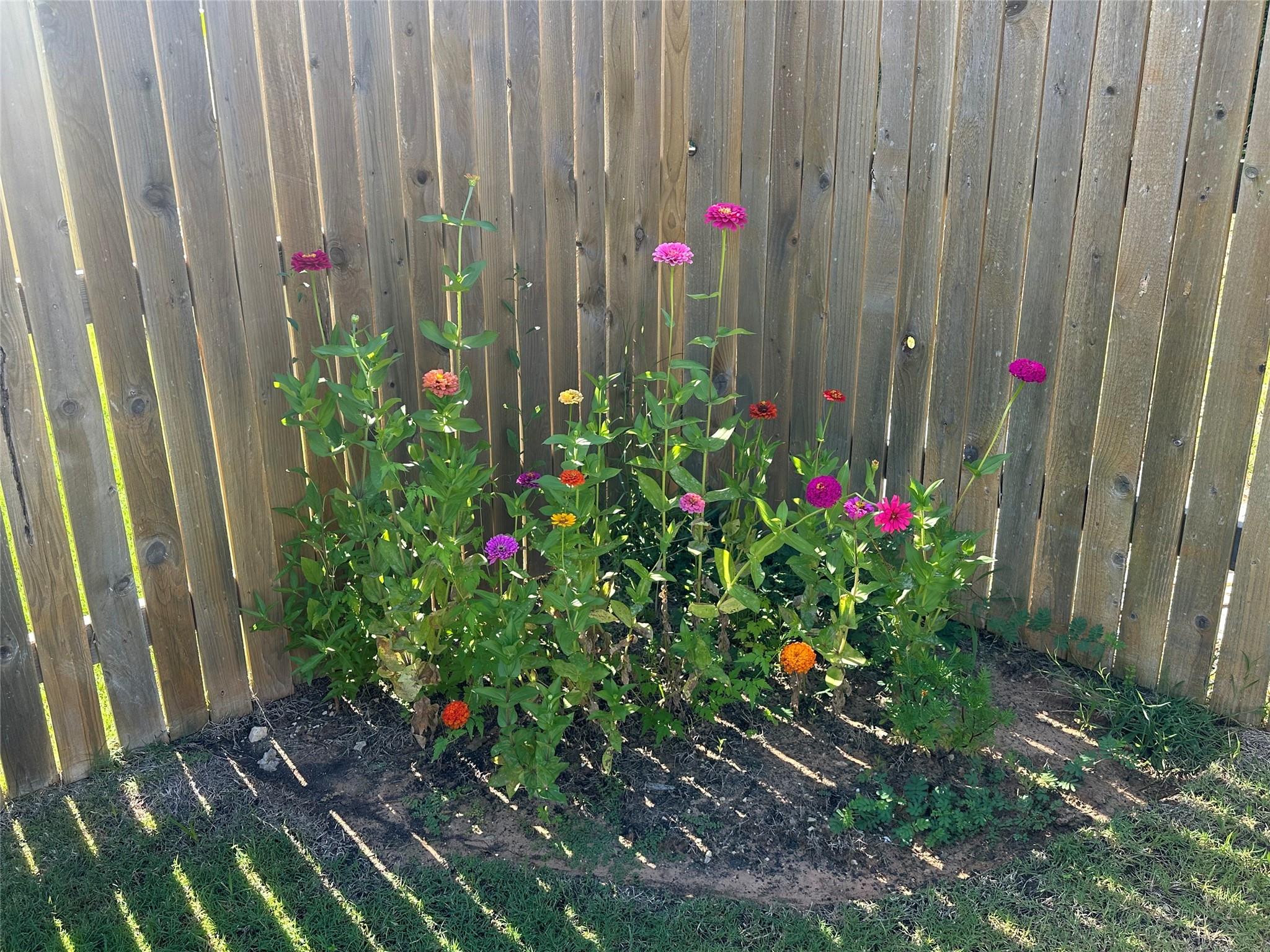 202 Big Sandy Creek DR