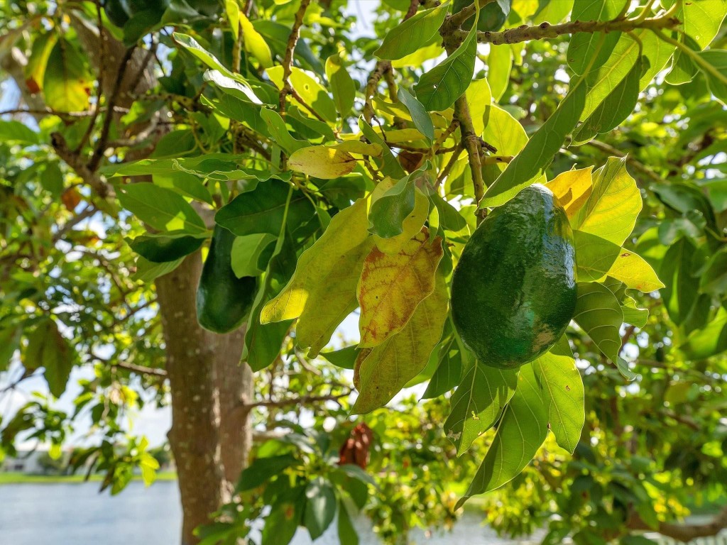 14151 Appalachian Trl