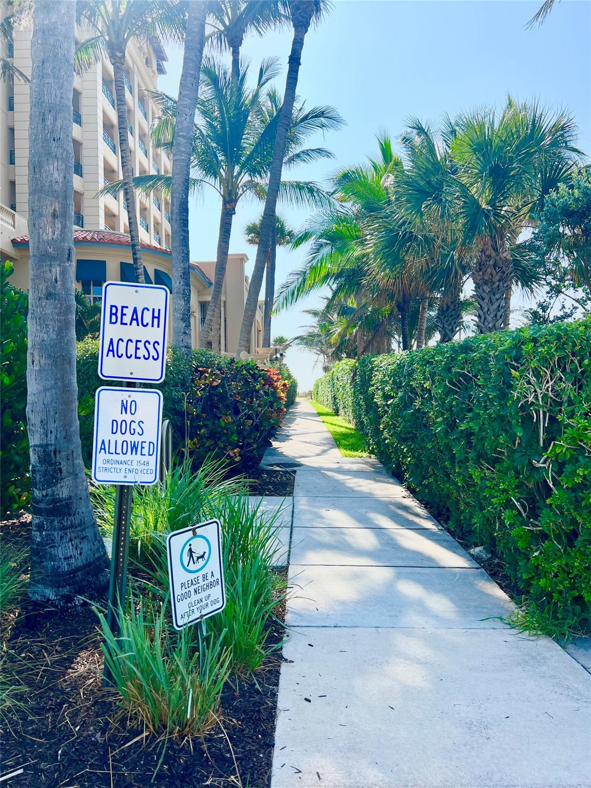2730 Banyan Rd 33B
