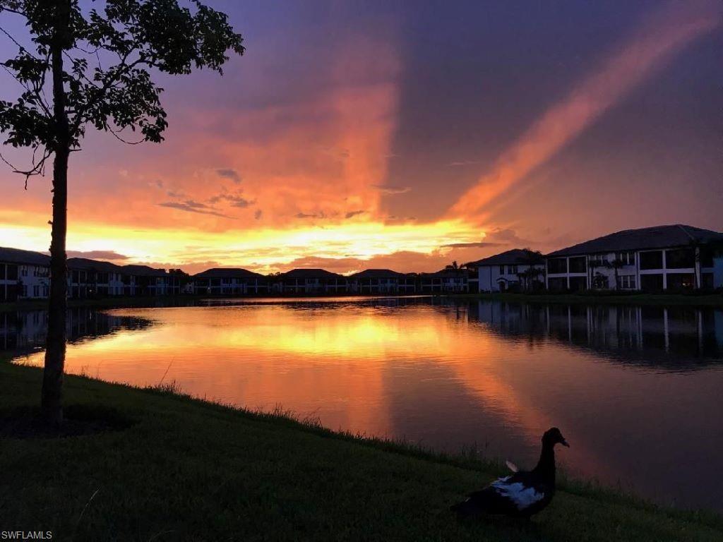 15141 Palmer Lake CIR # 102
