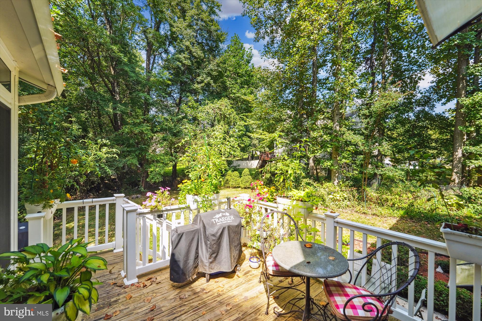10109 Legacy COURT