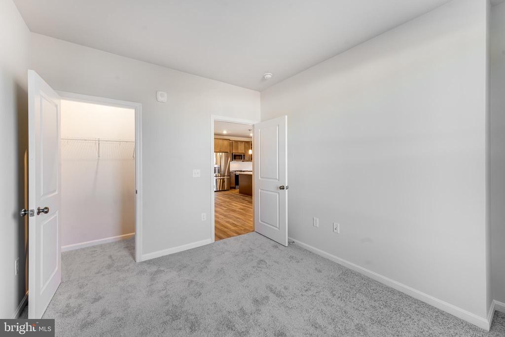 4005 SEASIDE ALDER ROAD F - VIOLET - 9305