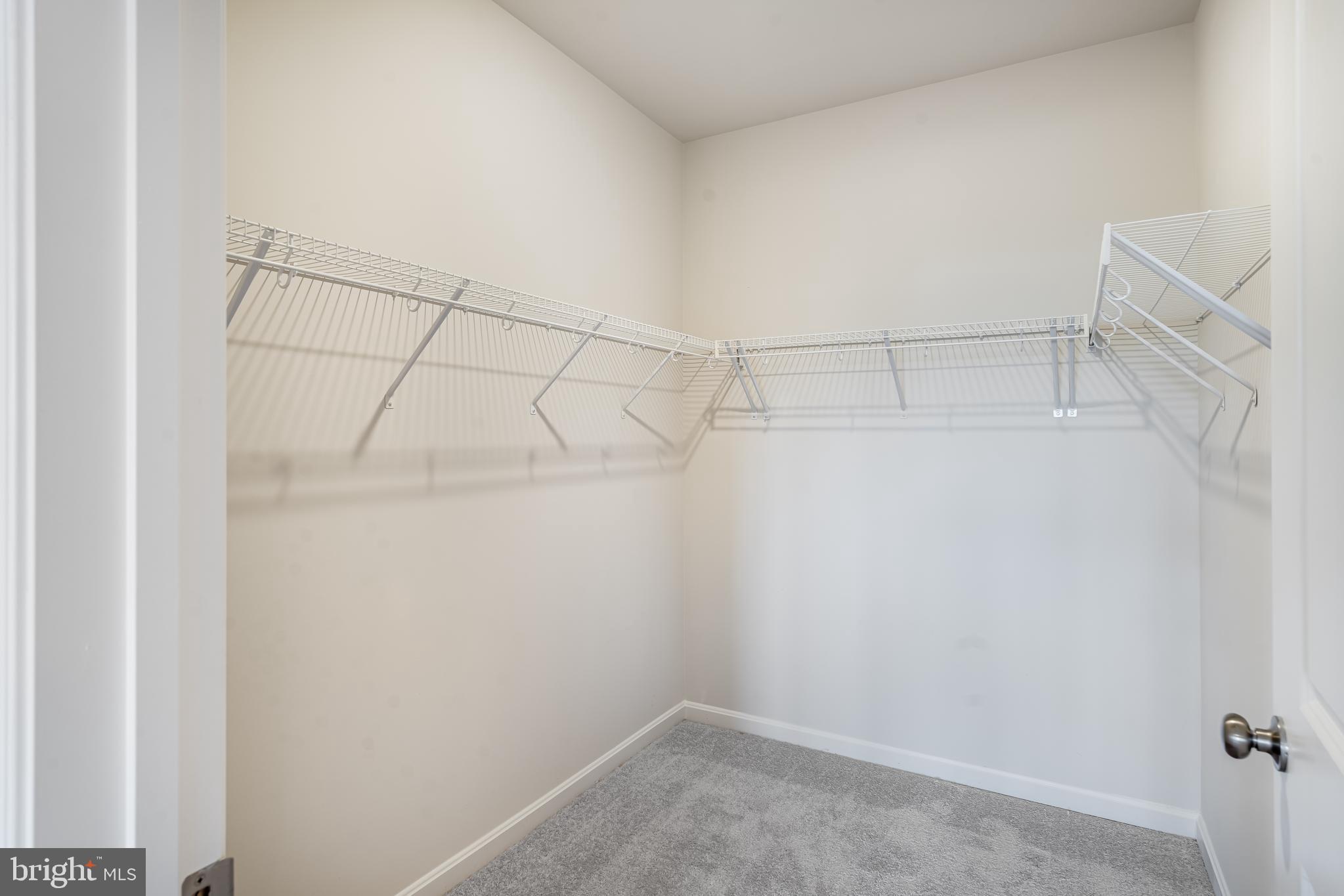 4005 SEASIDE ALDER ROAD F - VIOLET - 9305