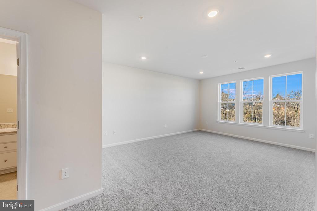 4005 SEASIDE ALDER ROAD F - VIOLET - 9305
