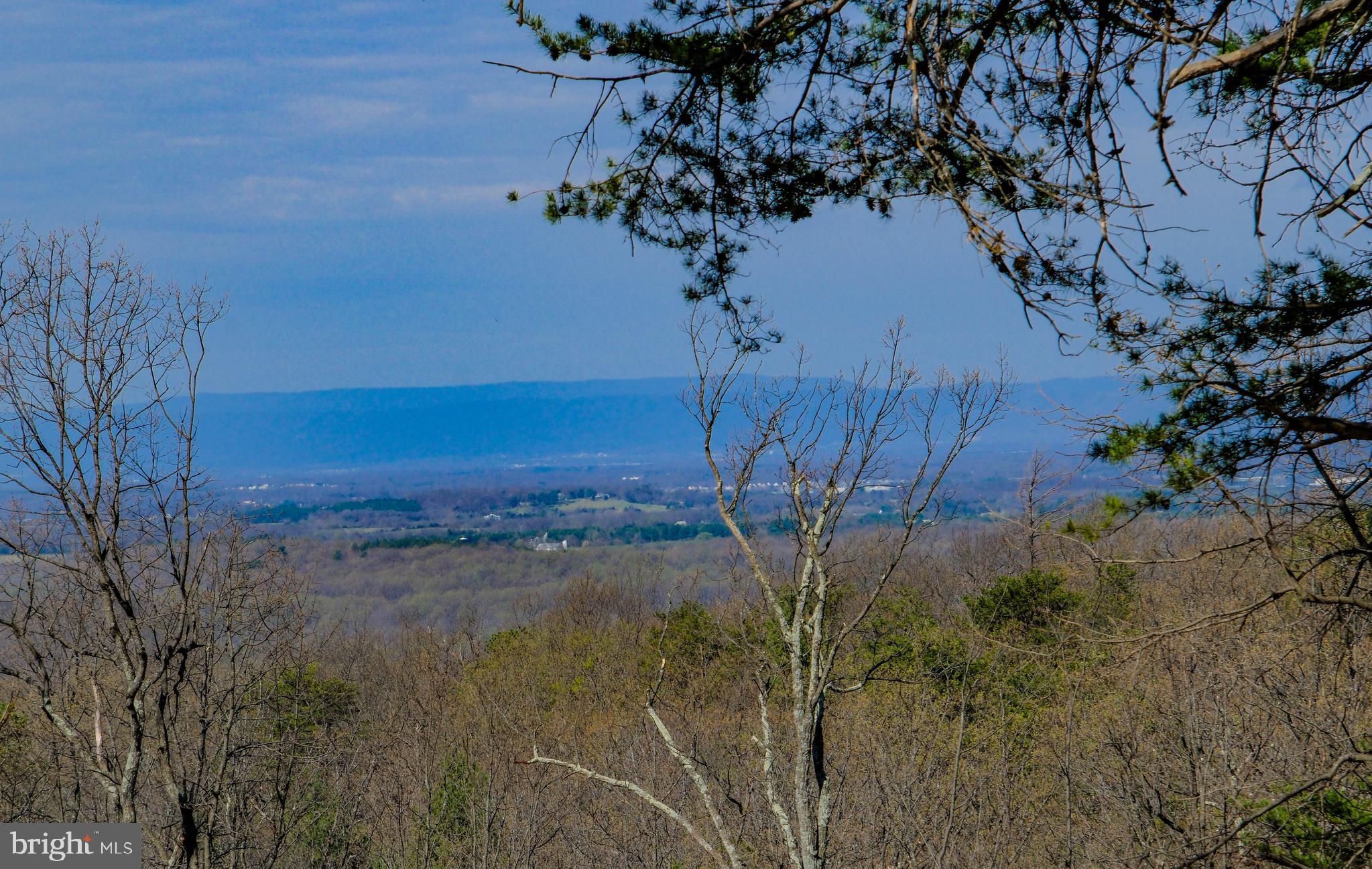 293 MARKHAM FARM ROAD