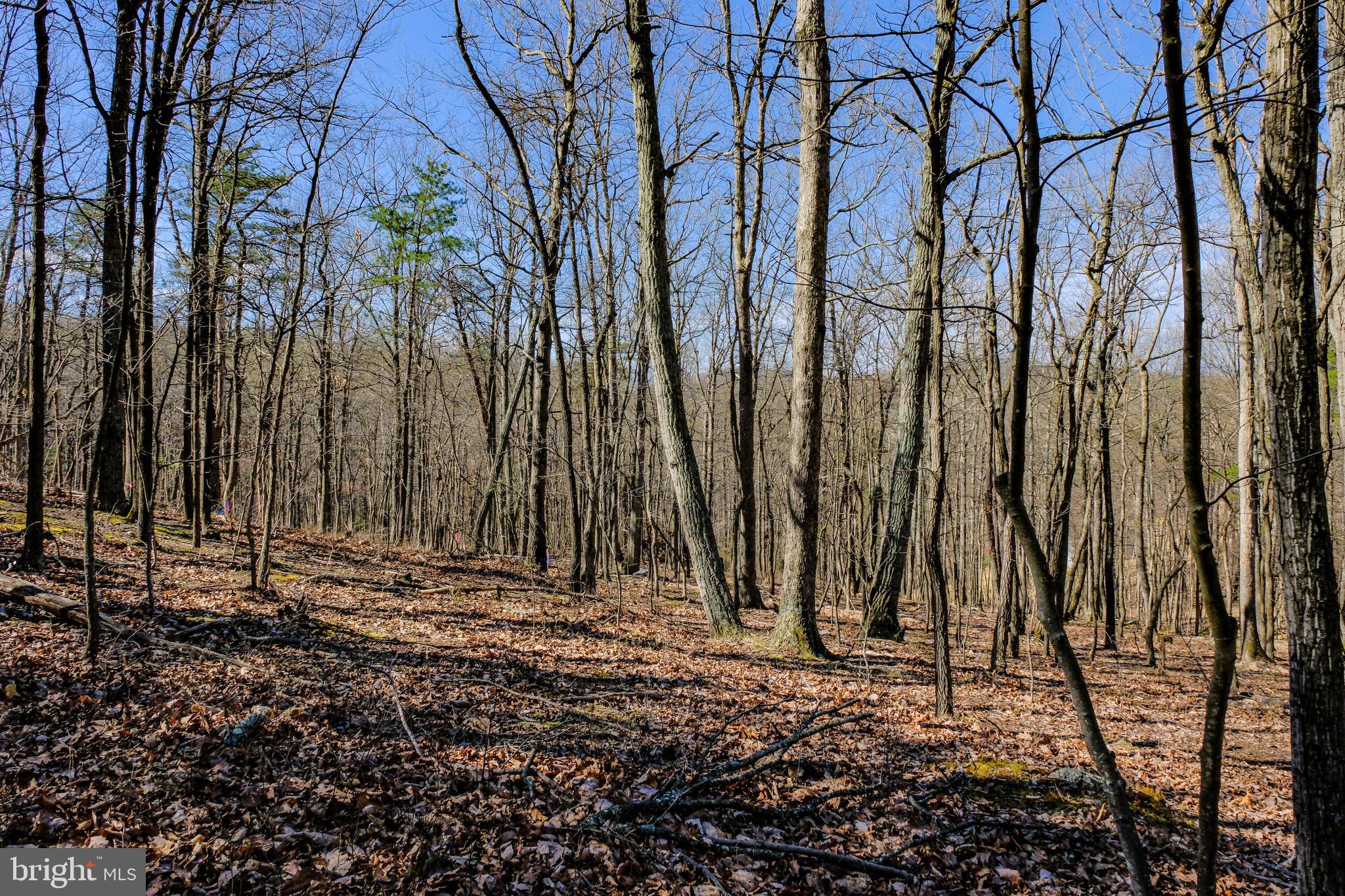 293 MARKHAM FARM ROAD