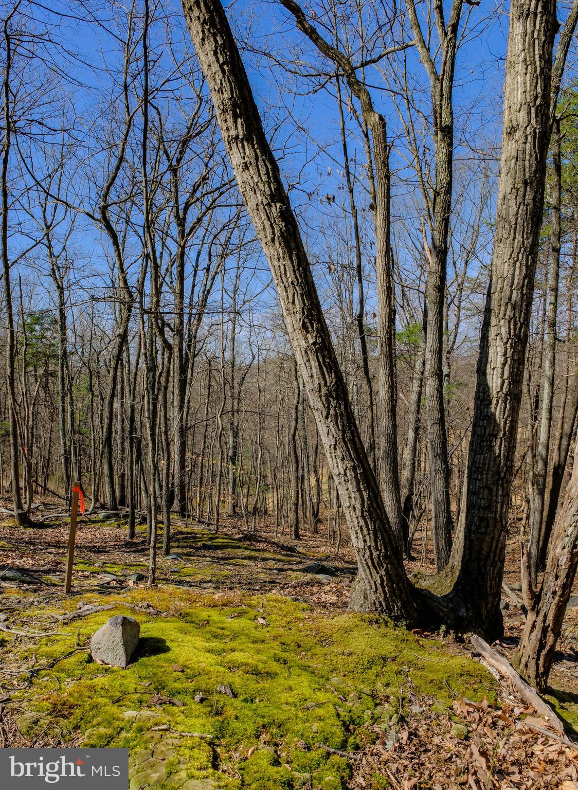 293 MARKHAM FARM ROAD