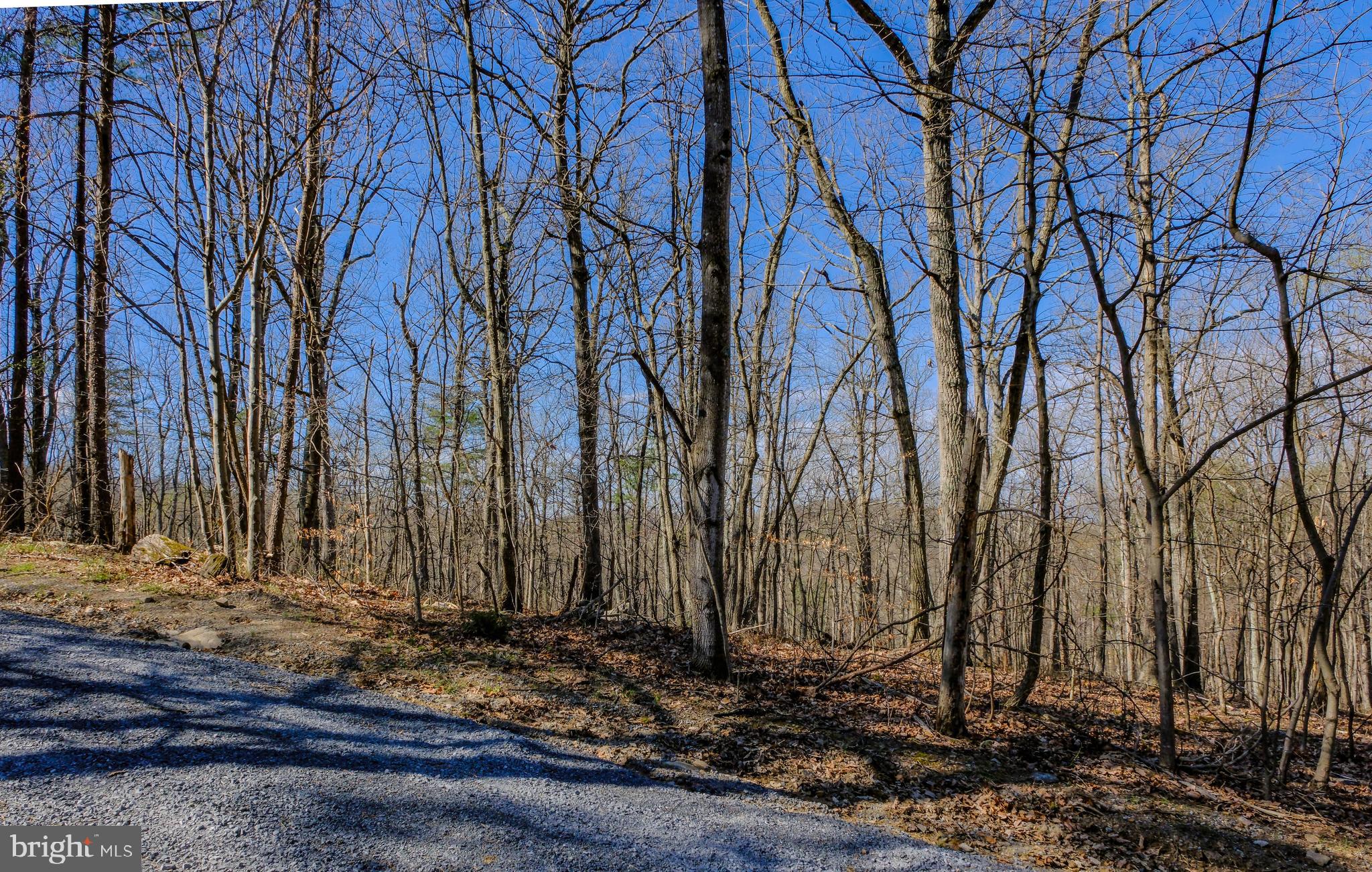 293 MARKHAM FARM ROAD