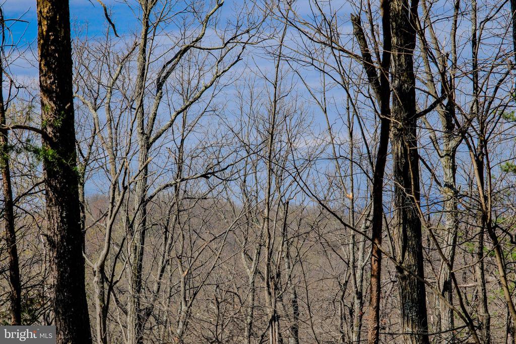 293 MARKHAM FARM ROAD