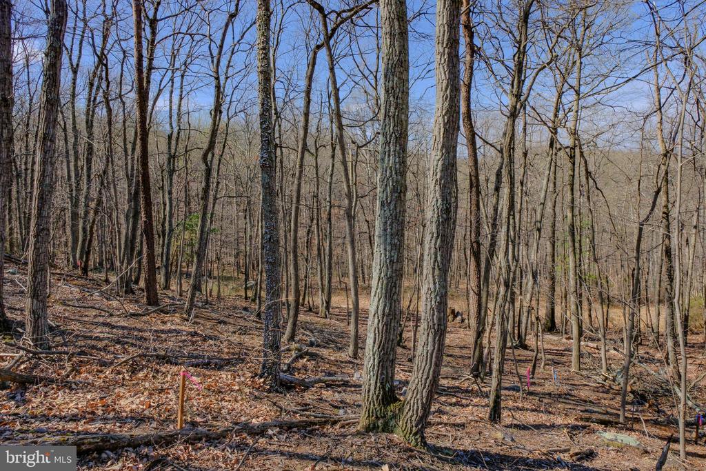 293 MARKHAM FARM ROAD