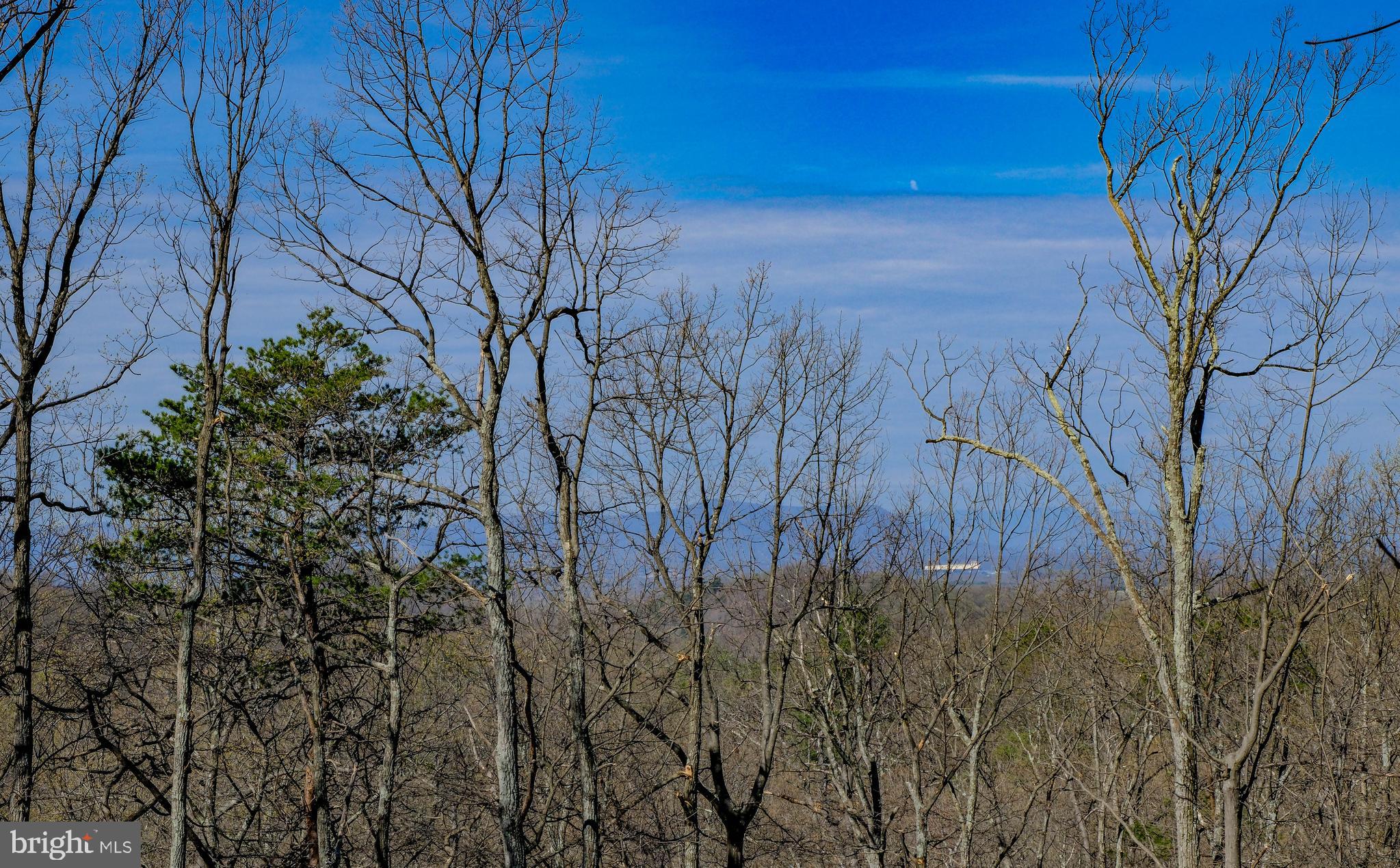 293 MARKHAM FARM ROAD