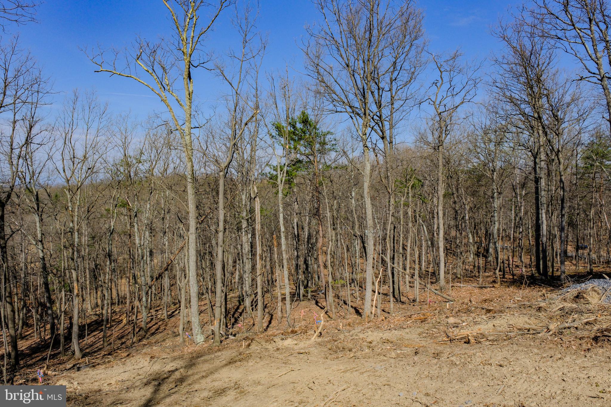293 MARKHAM FARM ROAD