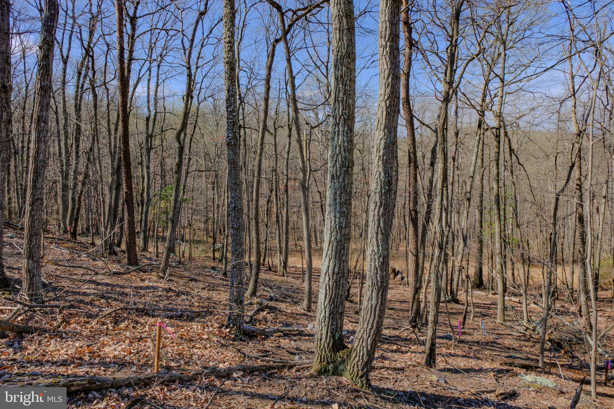 293 MARKHAM FARM ROAD