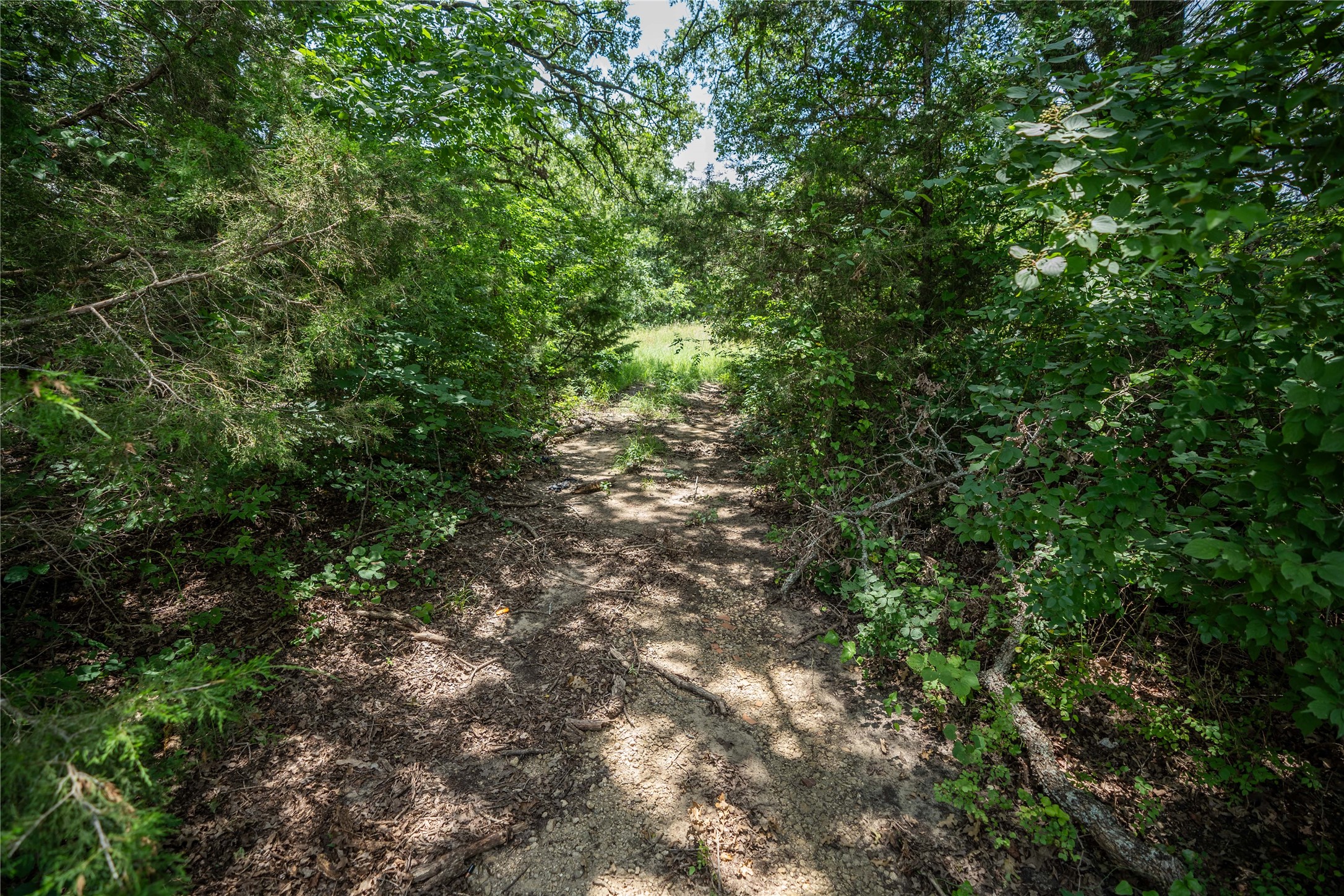 TBD CR-129 5 Acres