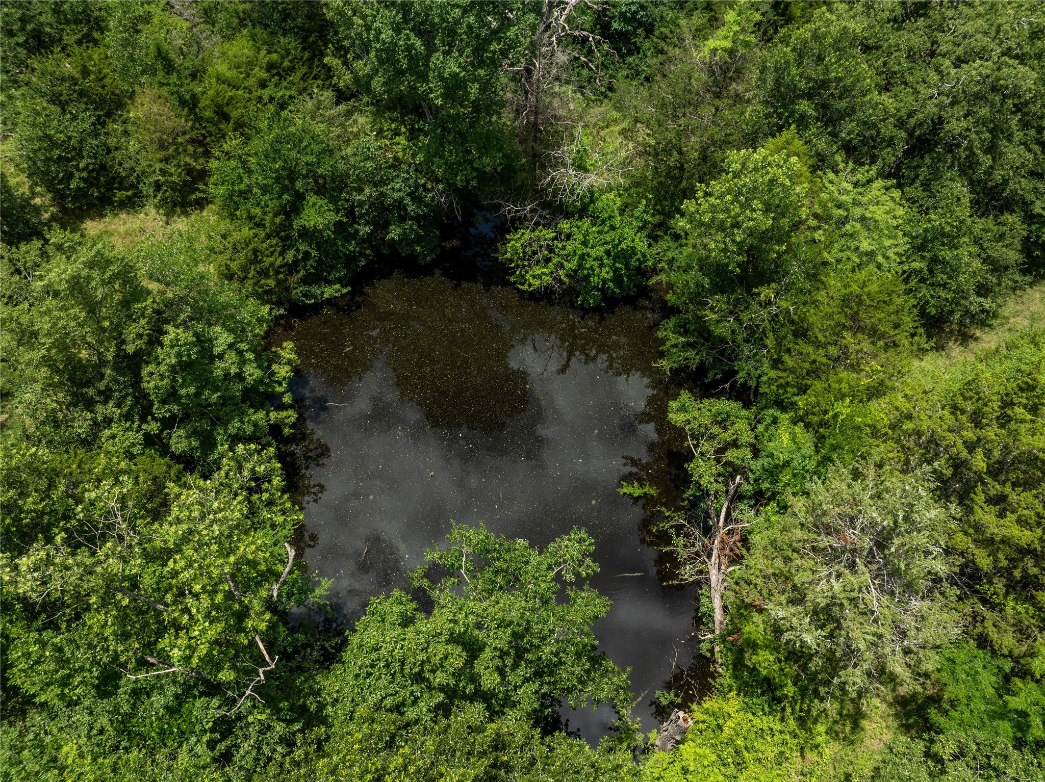 TBD CR-129 5 Acres