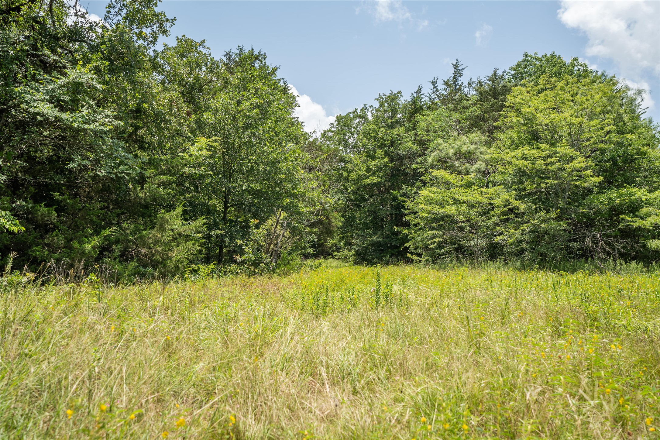 TBD CR-129 5 Acres
