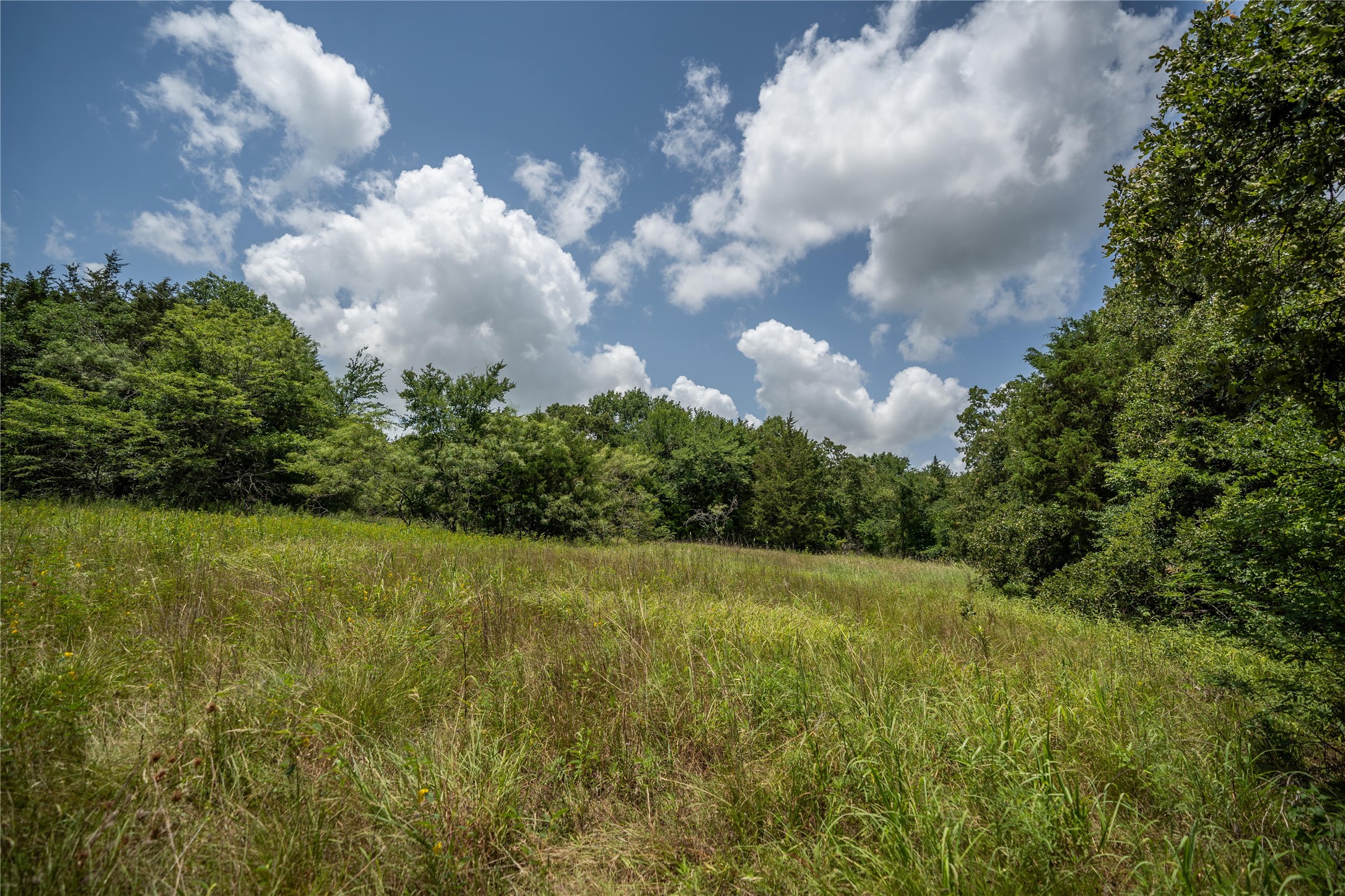 TBD CR-129 5 Acres