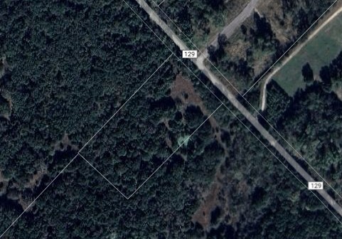 TBD CR-129 5 Acres