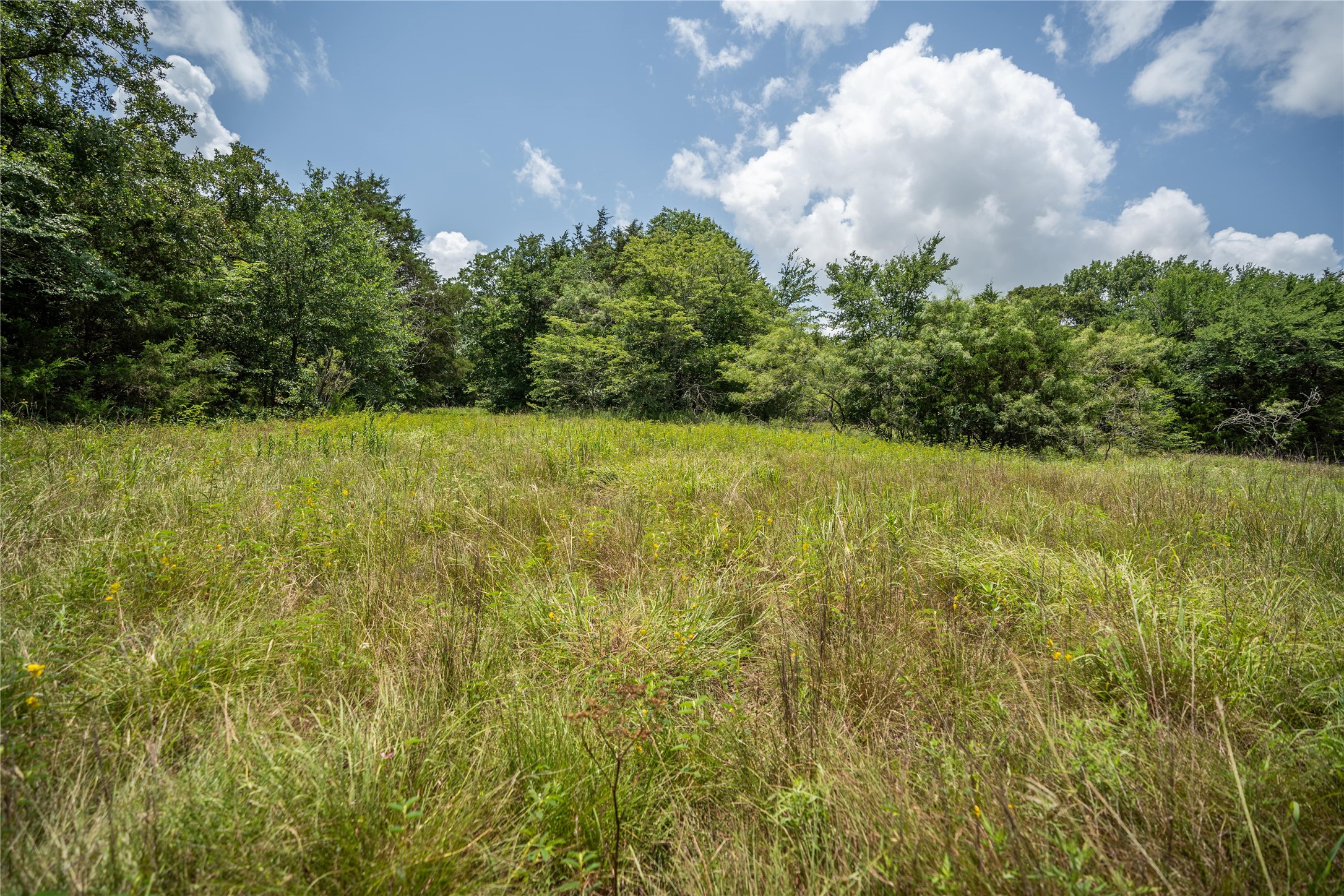 TBD CR-129 5 Acres