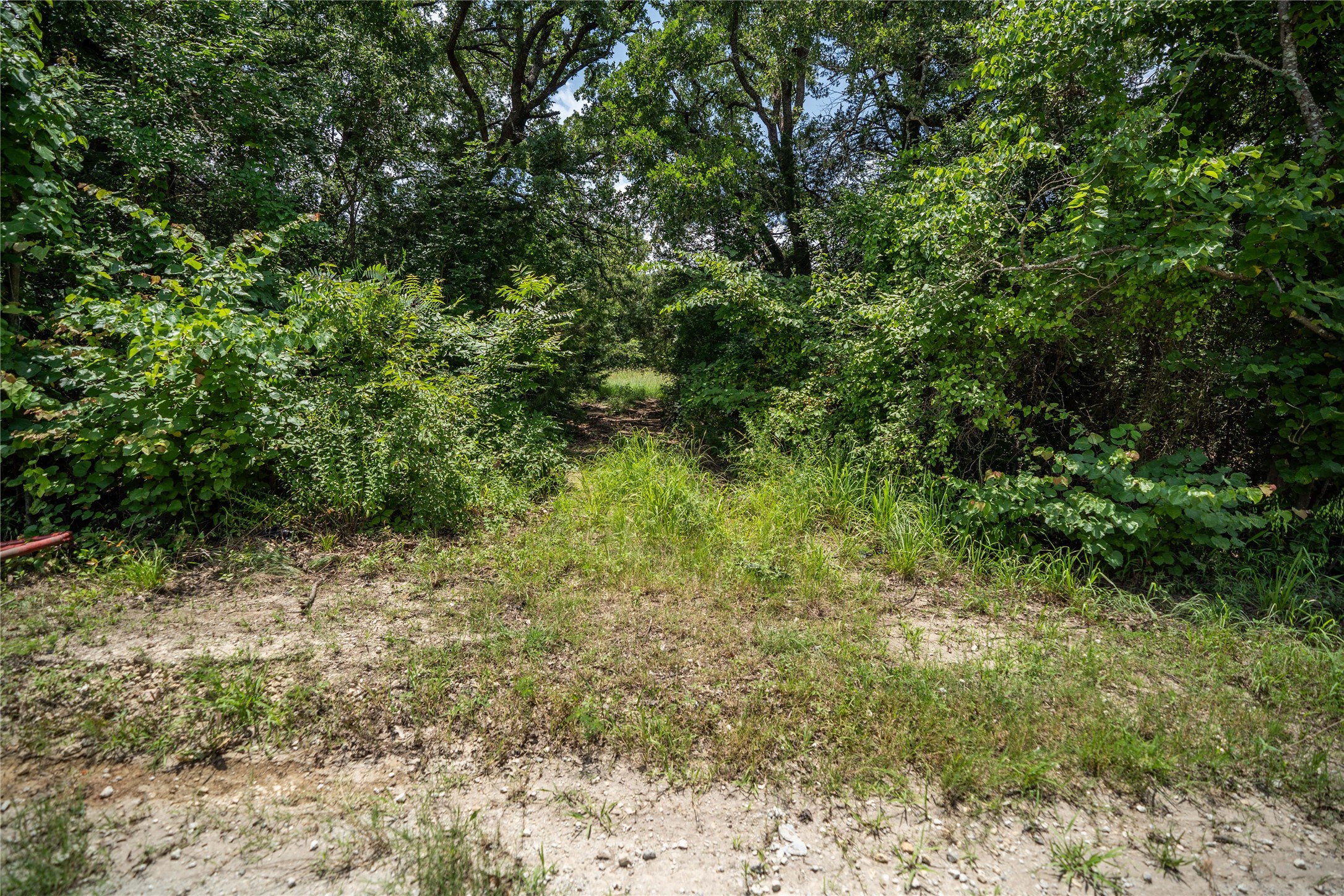 TBD CR-129 5 Acres