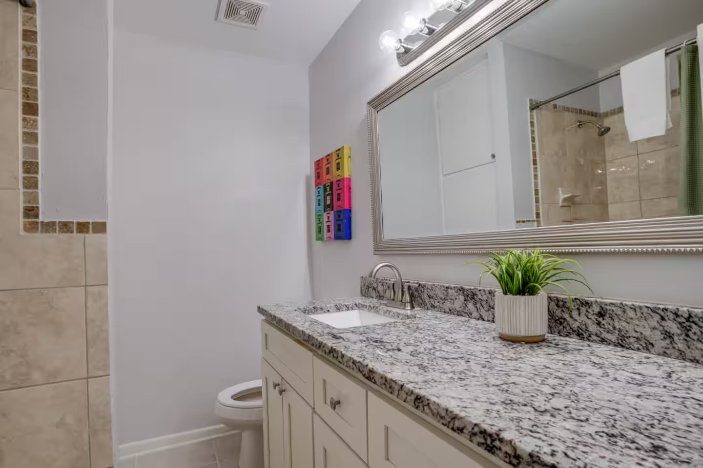 Bathroom with a granite vanity, large mirror, tiled shower, and potted plant.
