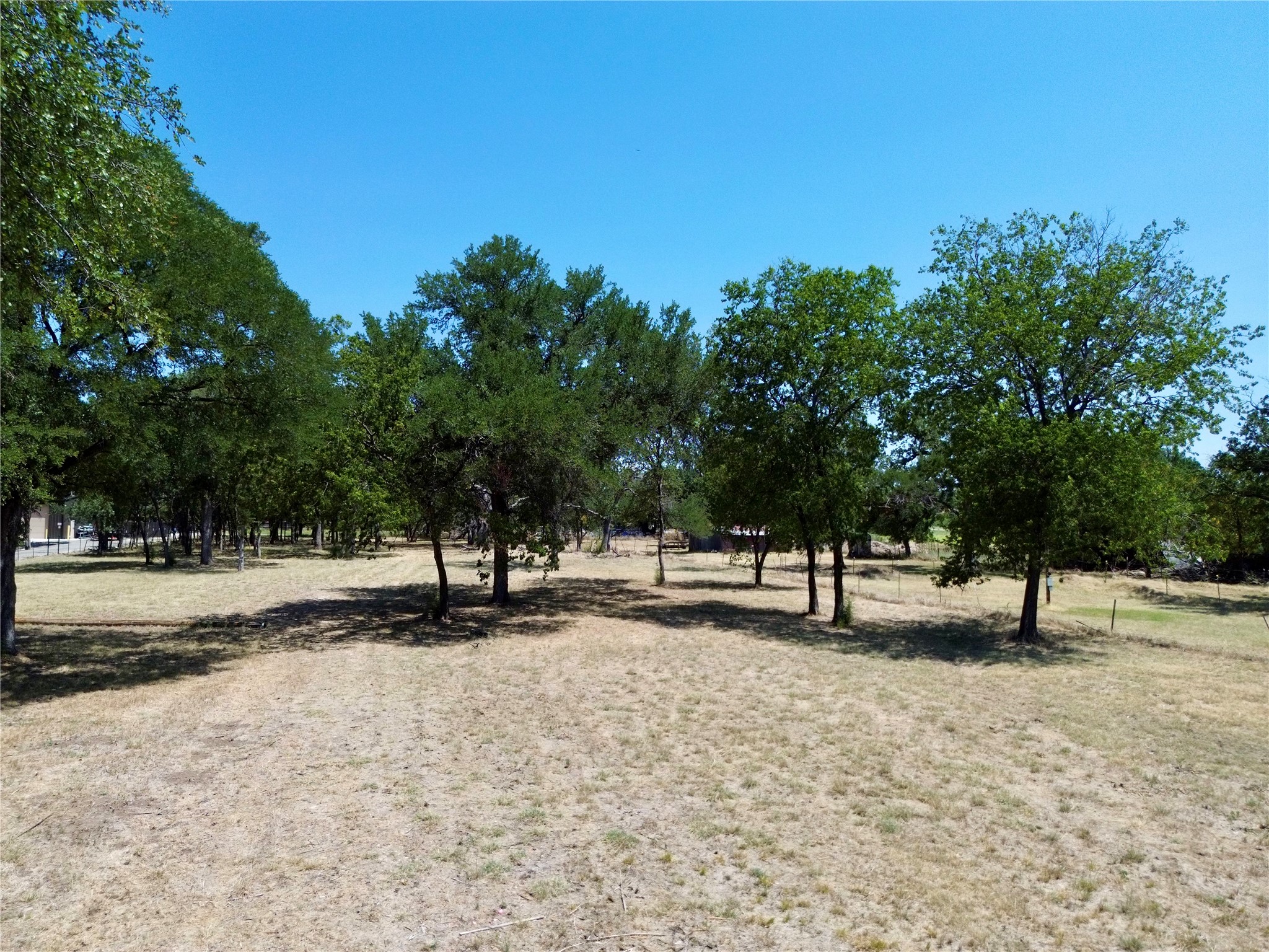 Open grassy lot with scattered mature trees and a fence along one side.