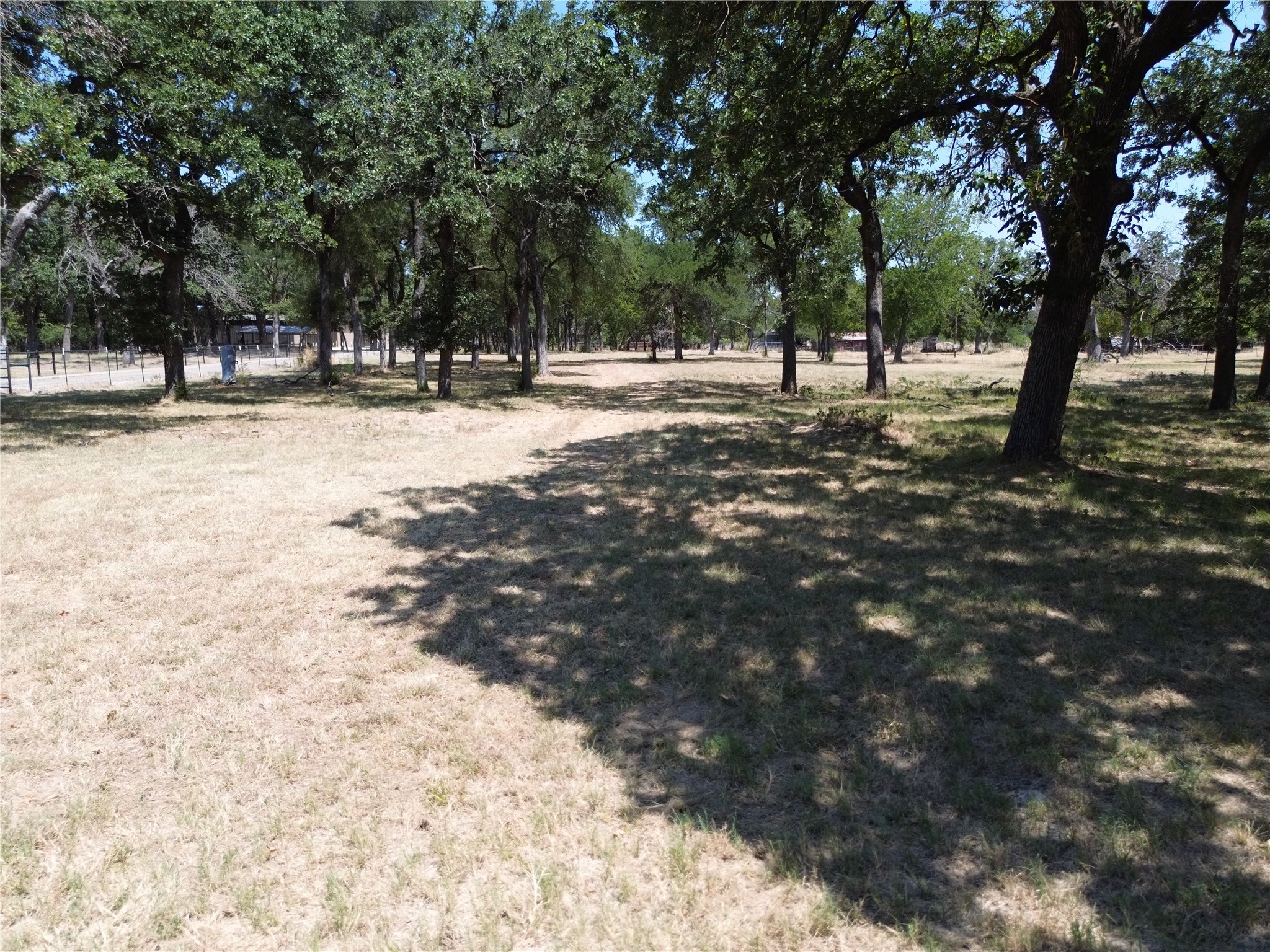 Open grassy lot shaded by mature trees, with a wire fence along one side.