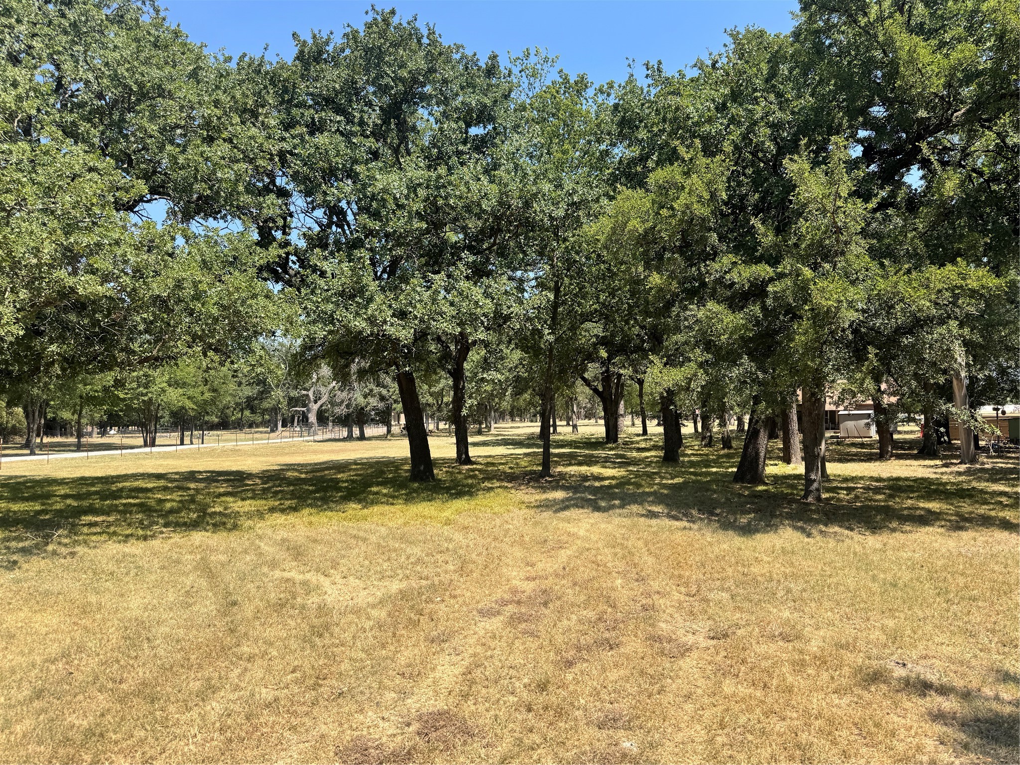 Grassy lot beneath mature shade trees, with a fence along the back.