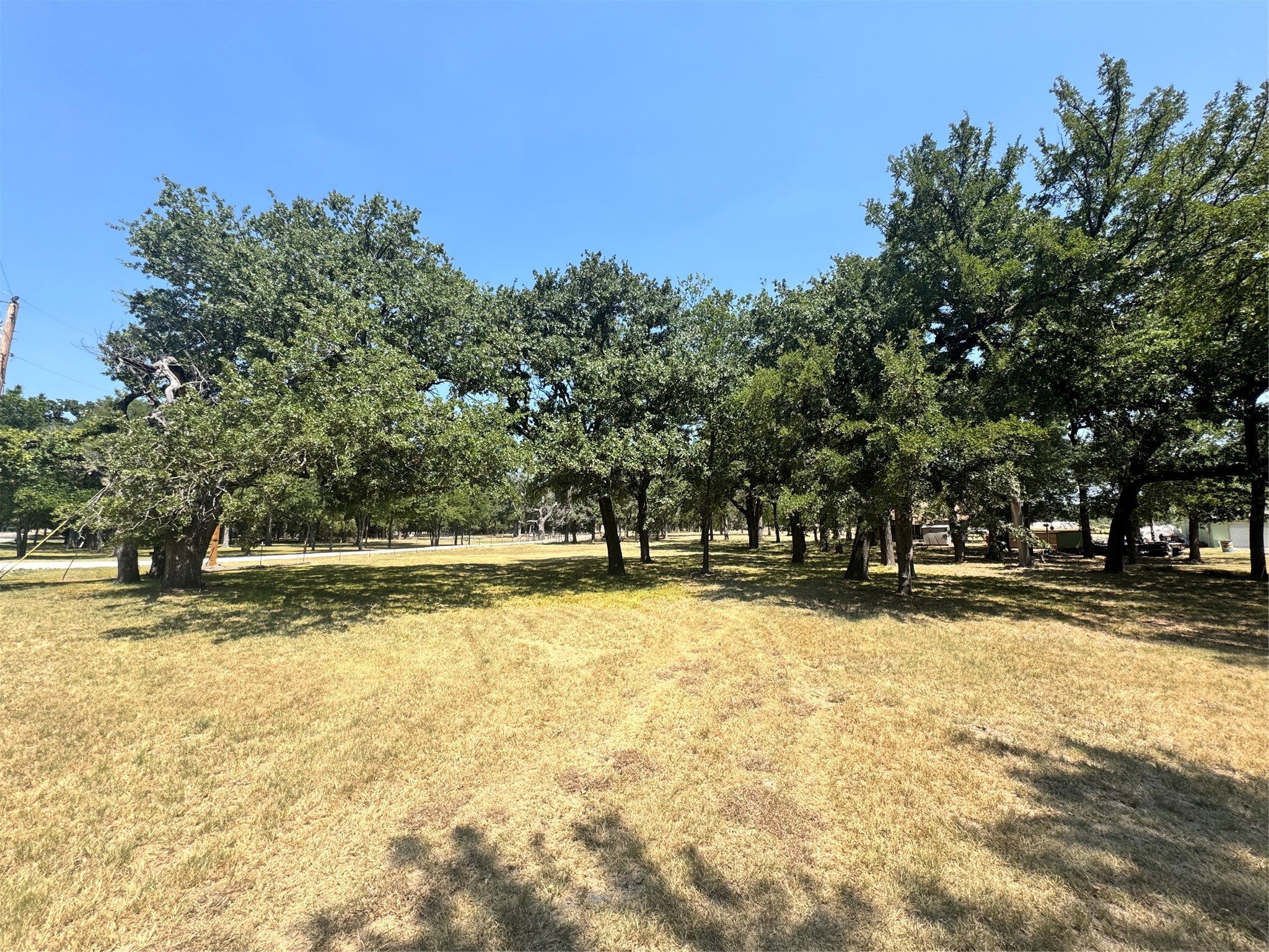 Grassy lot with mature shade trees and a few outbuildings in the background.