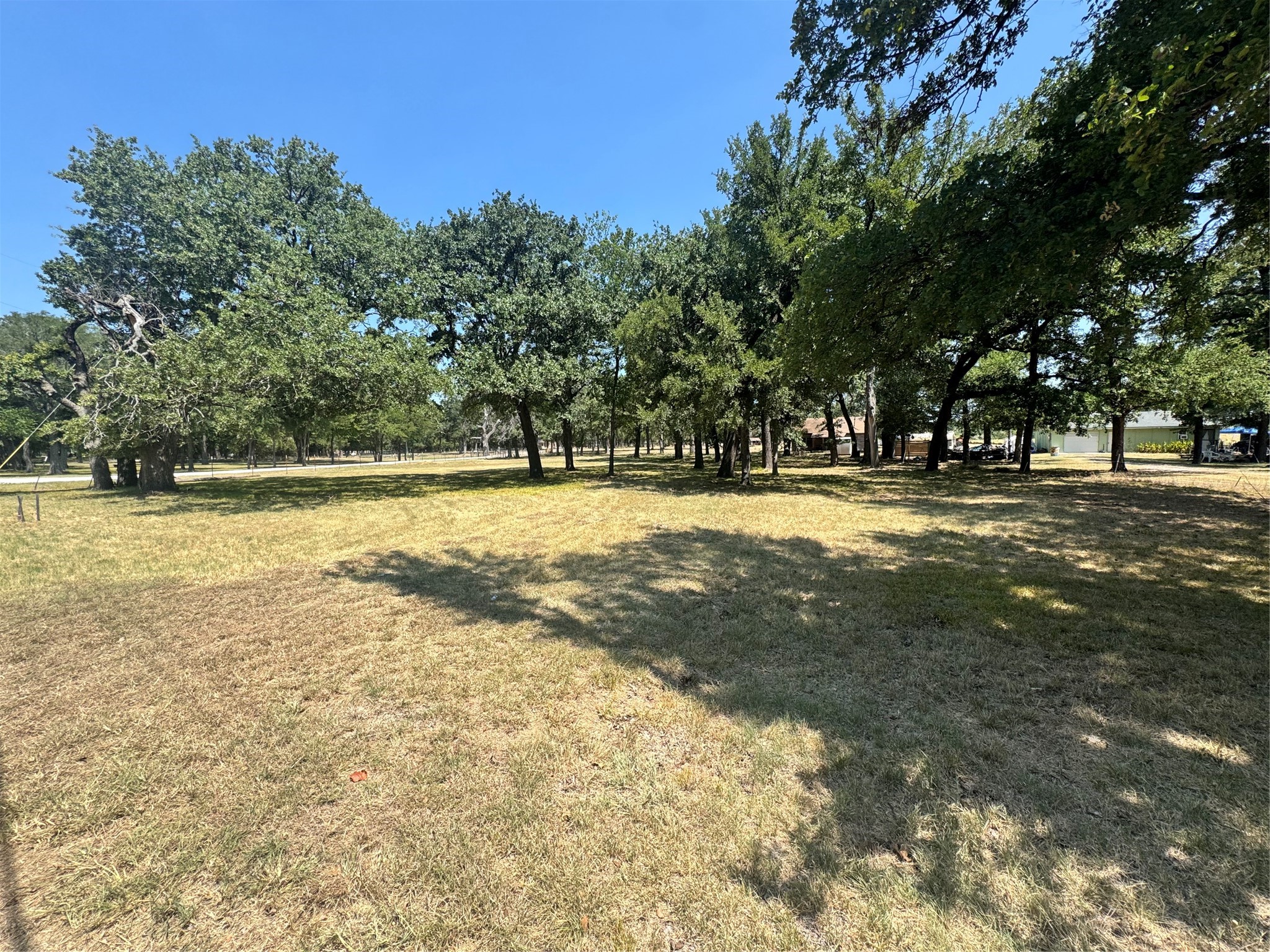 Grassy lot with mature shade trees and a road beyond.