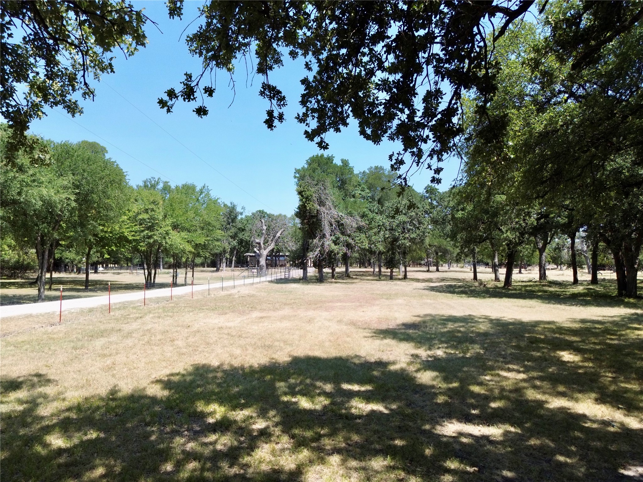 Tree-shaded grassy lot with a wire fence and driveway
