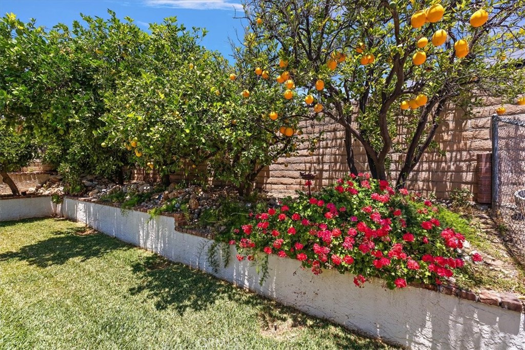 6328 Vineyard