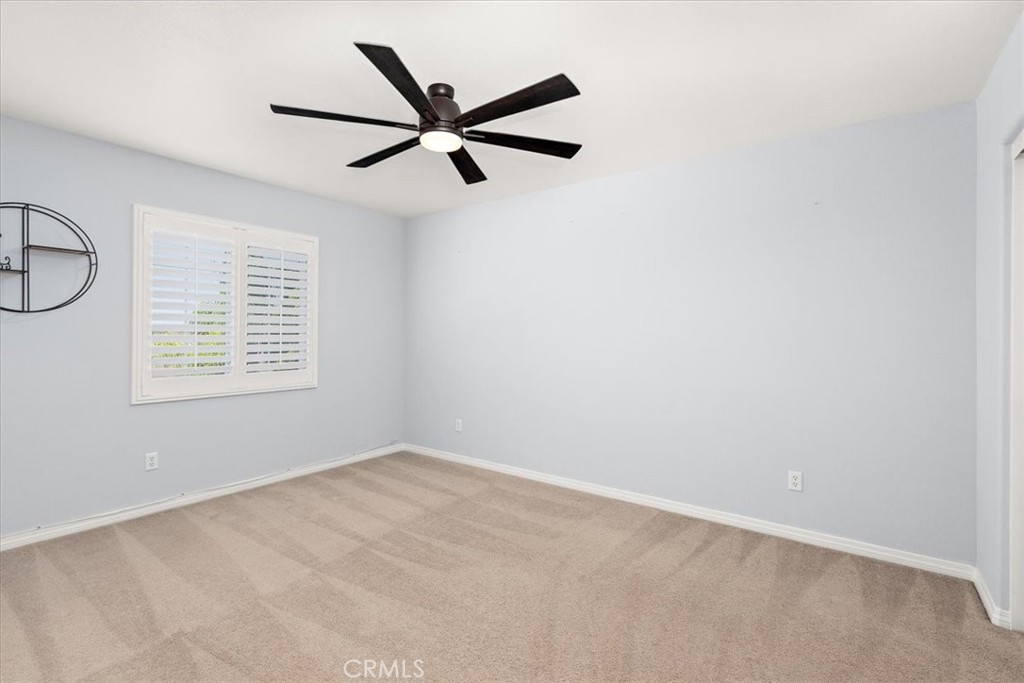 3938 White Ash