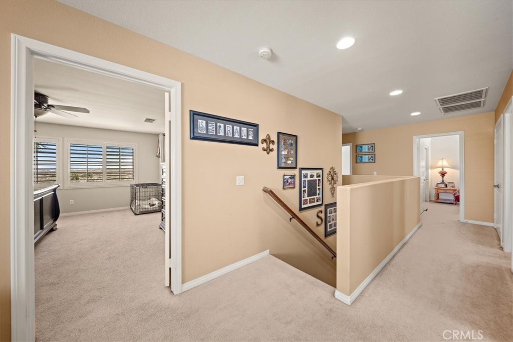 3938 White Ash