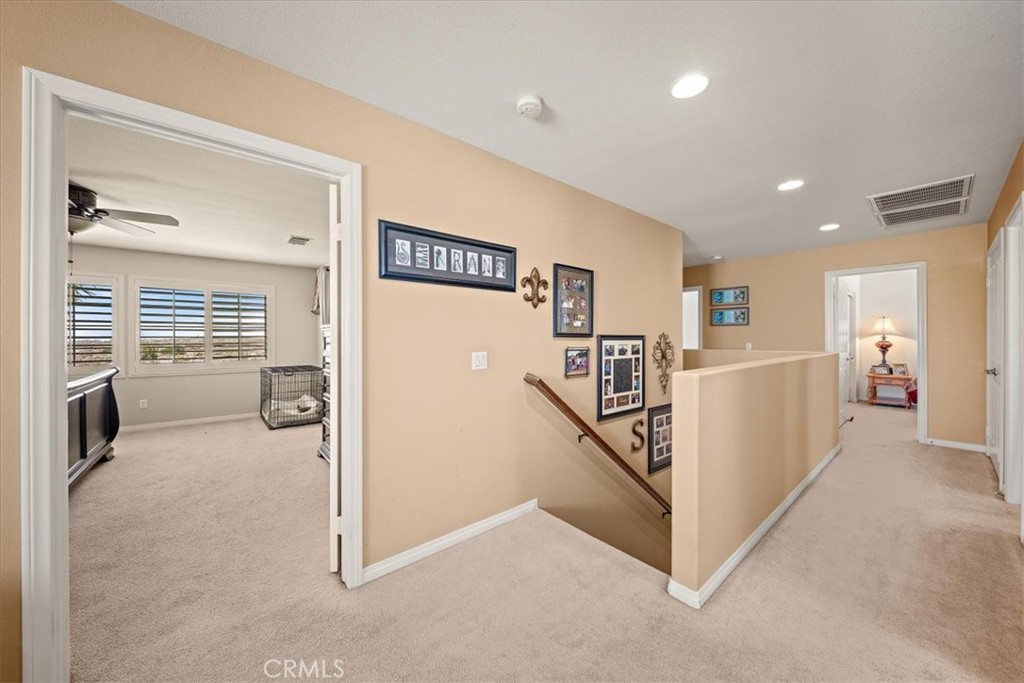 3938 White Ash