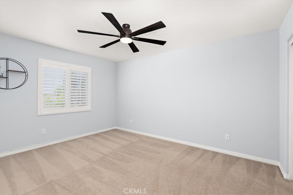3938 White Ash
