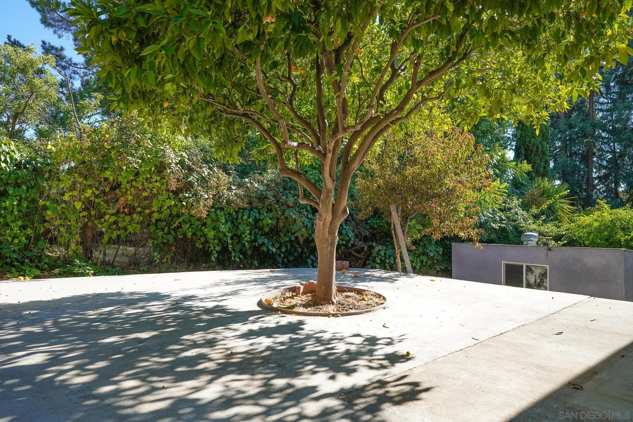 4633 Lawrence Dr