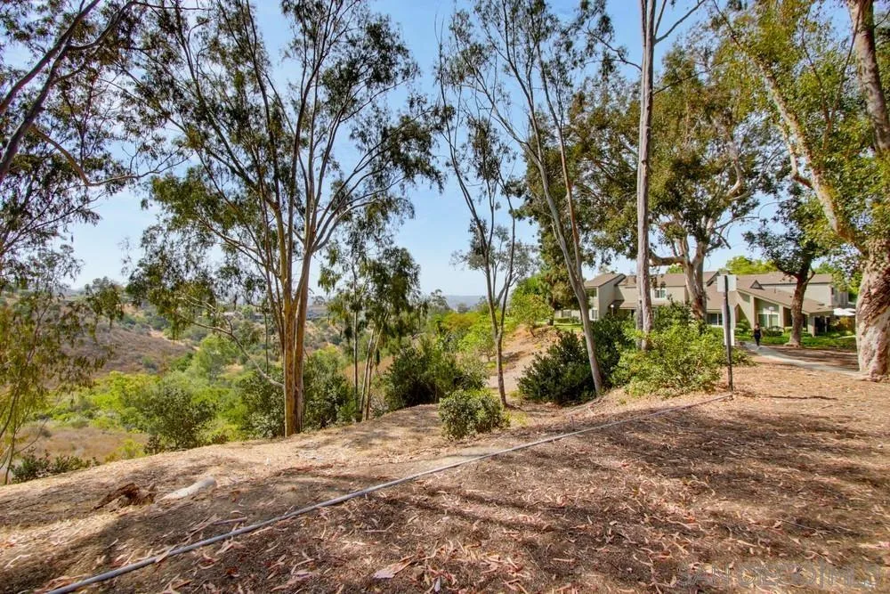 10854 Macouba Pl